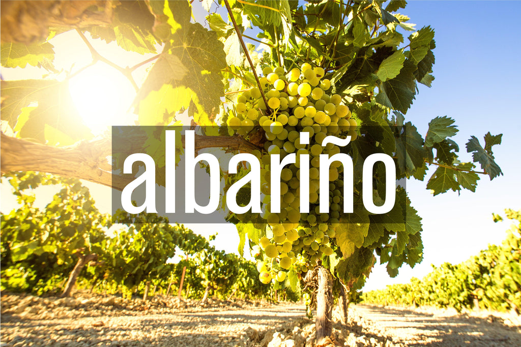 albarino - BARBEA Wine Shop & Snack Bar
