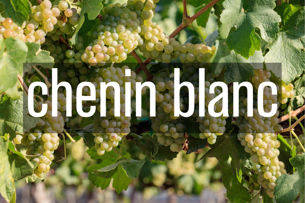 Chenin Blanc - BARBEA Wine Shop & Snack Bar