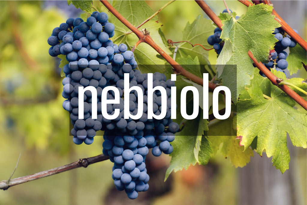 Nebbiolo - BARBEA Wine Shop & Snack Bar