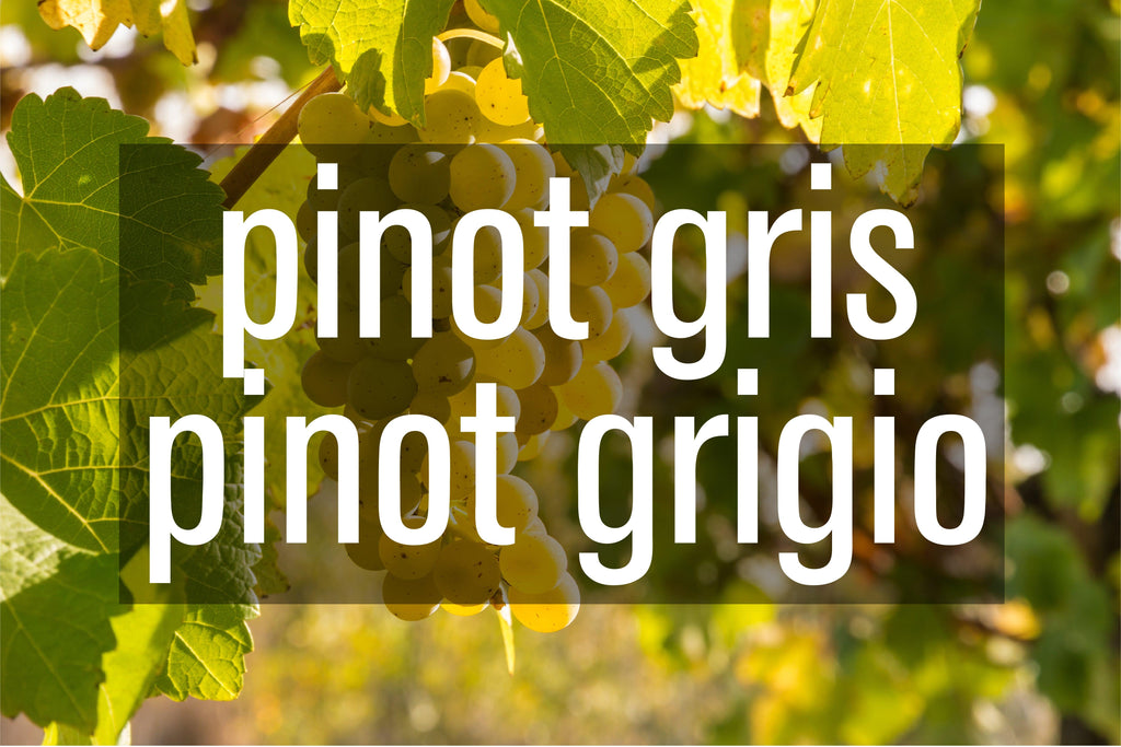 Pinot Gris | Pinot Grigio - BARBEA Wine Shop & Snack Bar