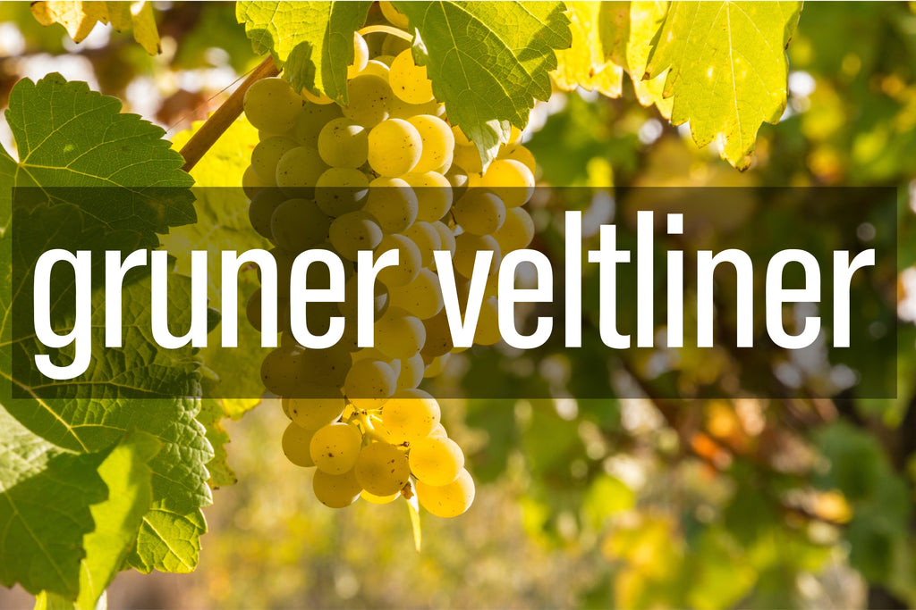 Gruner Veltliner - BARBEA Wine Shop & Snack Bar