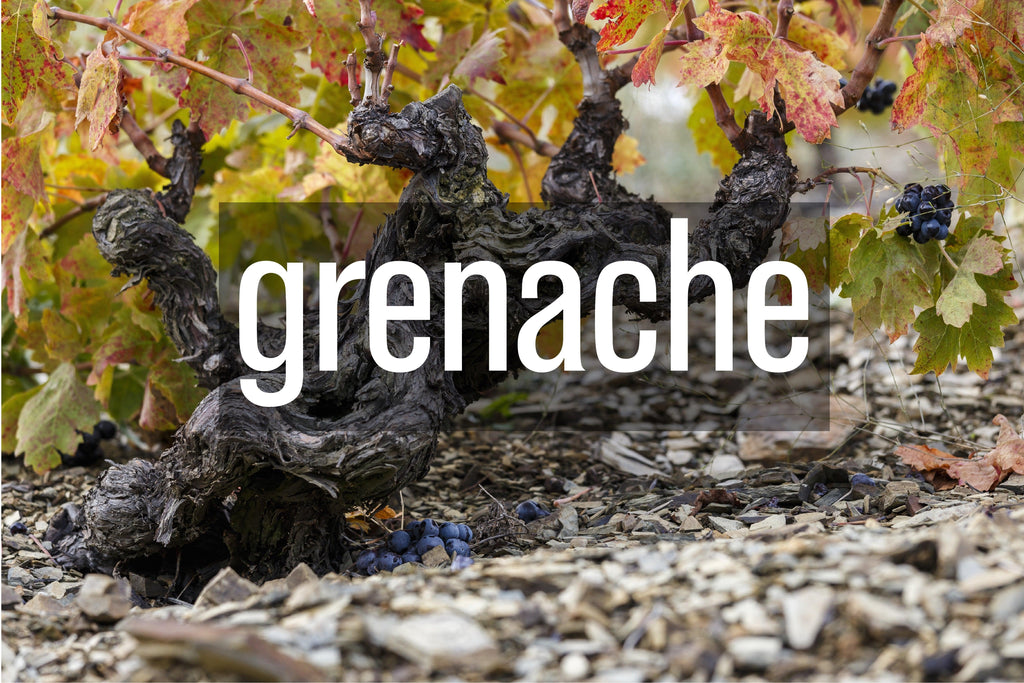Grenache - BARBEA Wine Shop & Snack Bar