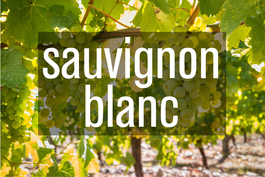 Sauvignon Blanc - BARBEA Wine Shop & Snack Bar
