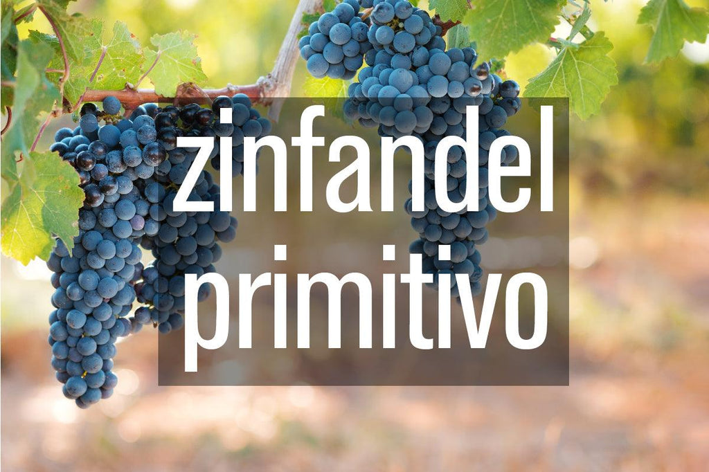 Zinfandel | Primitivo - BARBEA Wine Shop & Snack Bar